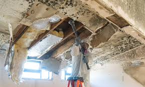 Mold Remediation for Rental Properties in West Bend, WI